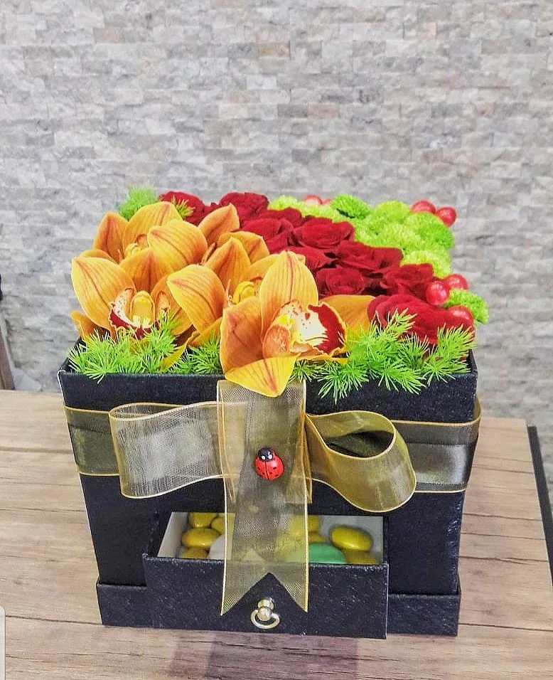 Doğum Günü